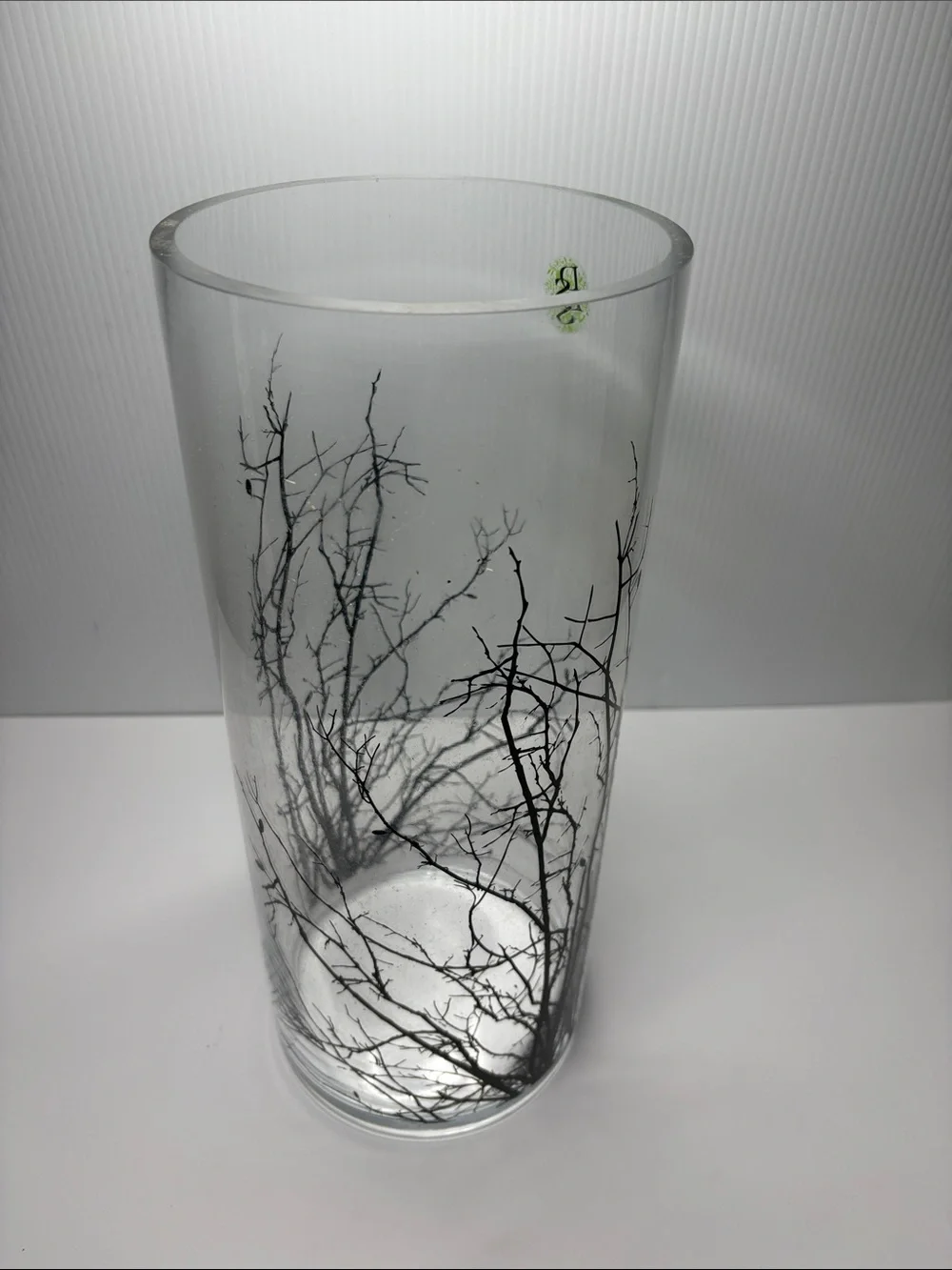 Glass Vase 6” x 14.5” with Black Branches